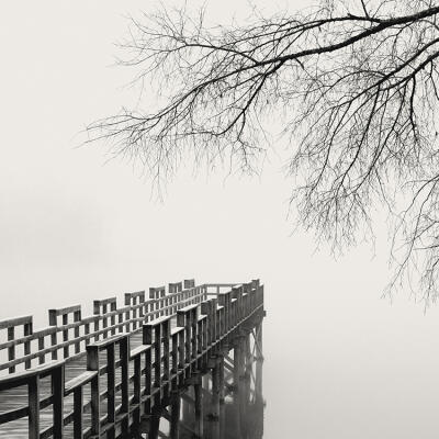 Nicholas Bell