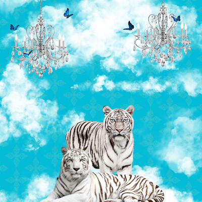 White Tigers In the Clouds