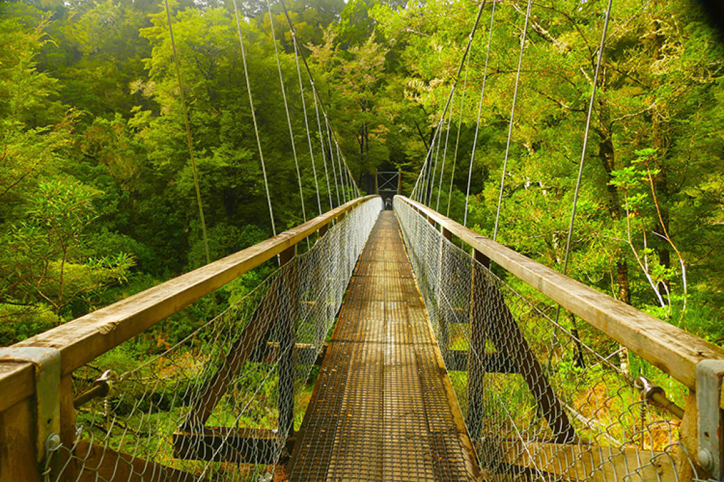 Bridge Into Green
