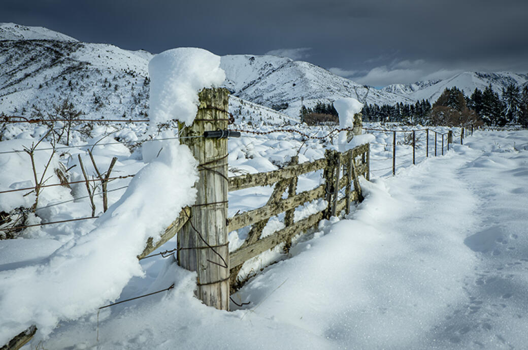 St James Snow