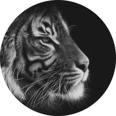 Surviving Sumatra