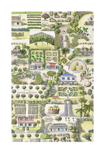 Gardens Of New Zealand