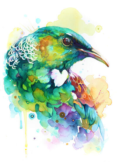 Emerald Tui