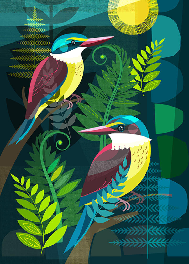 Kingfisher Amongst Ferns
