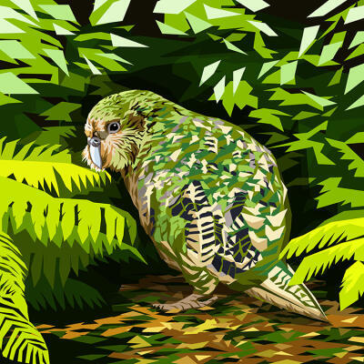 Kakapo
