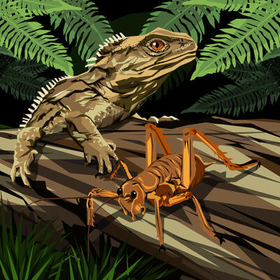 Tuatara And Weta