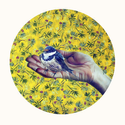 Swallow on Artist's Hand