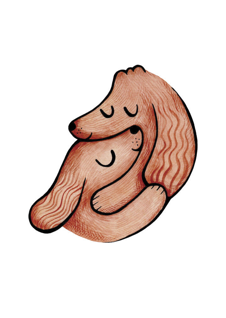 Spaniel Hug