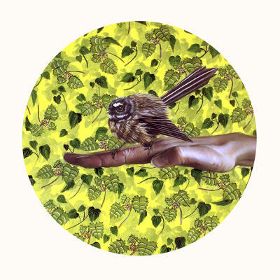 Fantail on Artist's Hand
