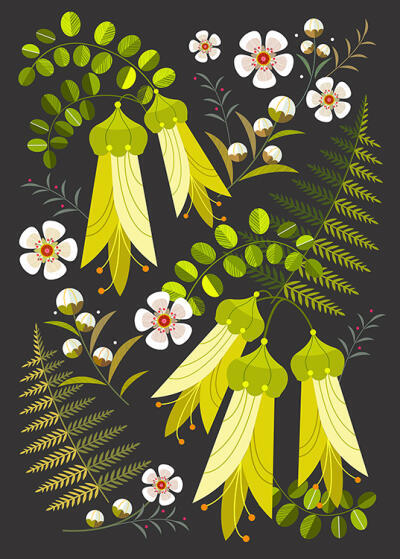NZ Kowhai