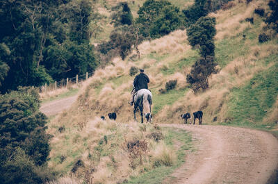 Morning Muster