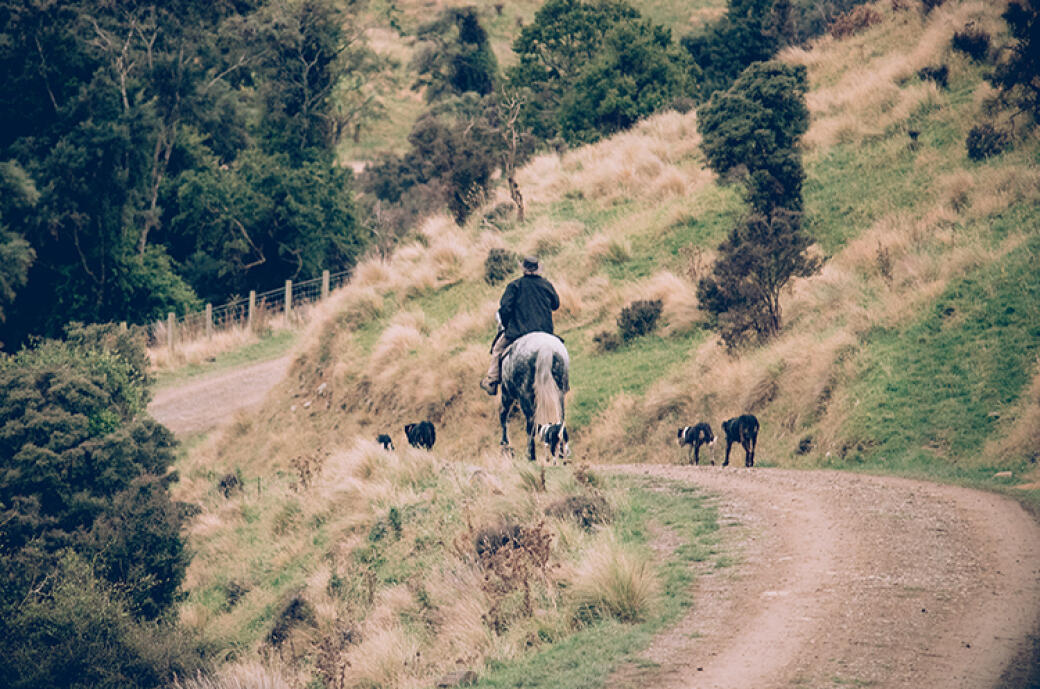 Morning Muster