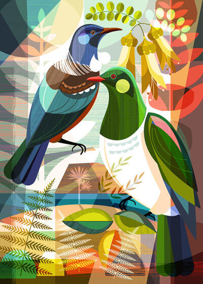 Tui And Kereru