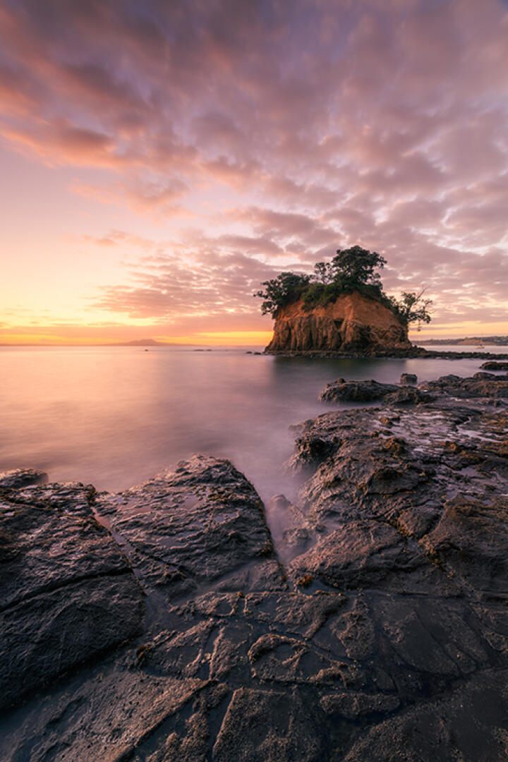 Waiake's Tor