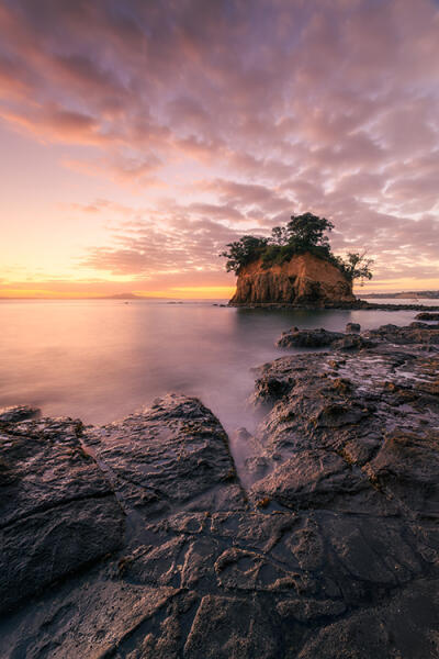 Waiake's Tor