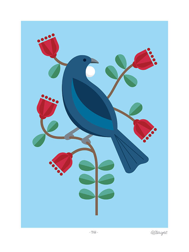 Tūī