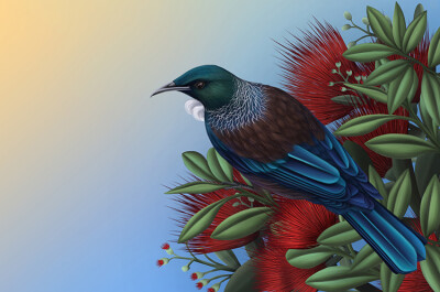 Dusky Tui