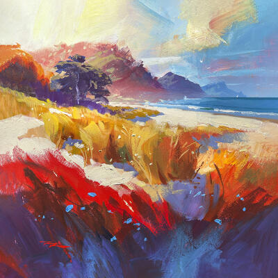 Colours of Mangawhai