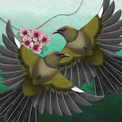 Korimako and Manuka