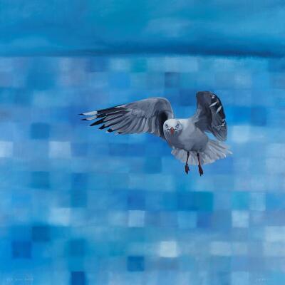 See Gull Gaze