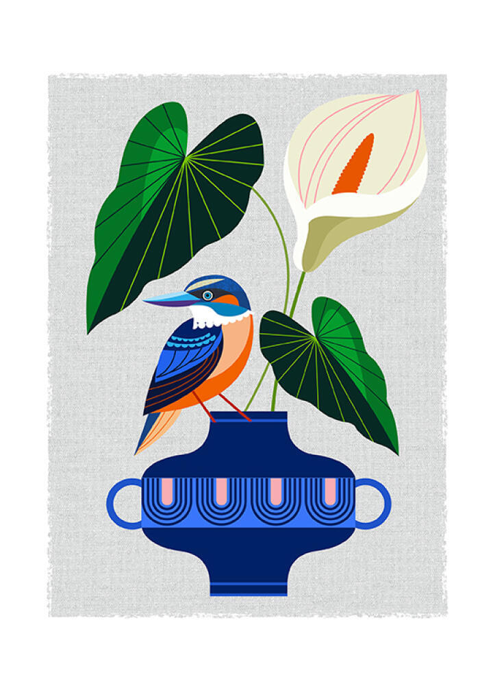 NZ Kingfisher with Arum lily
