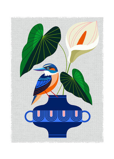 NZ Kingfisher with Arum lily