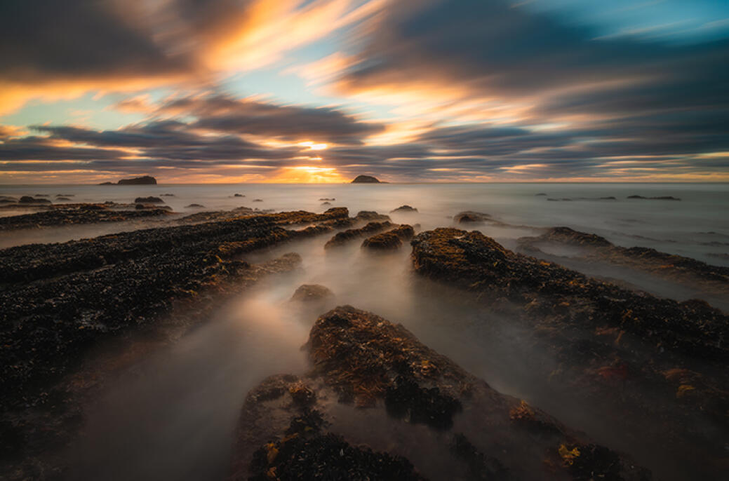 Maori Bay The Long Watch