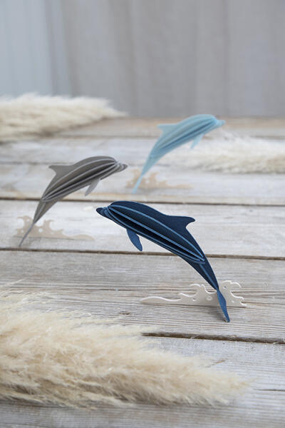 Lovi Dolphin