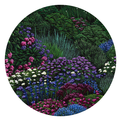 Blue And Purple Hues