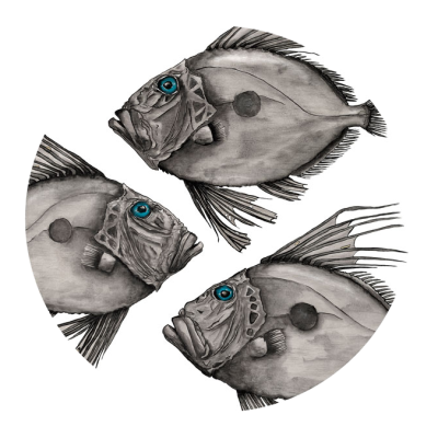 John Dory