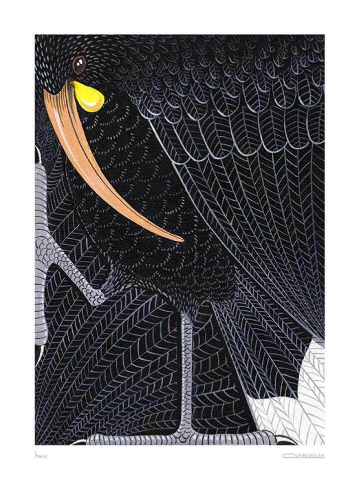 Huia