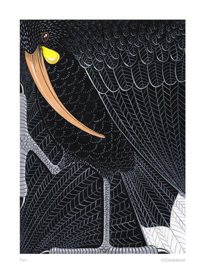 Huia