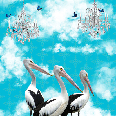 Pelicans In The Clouds