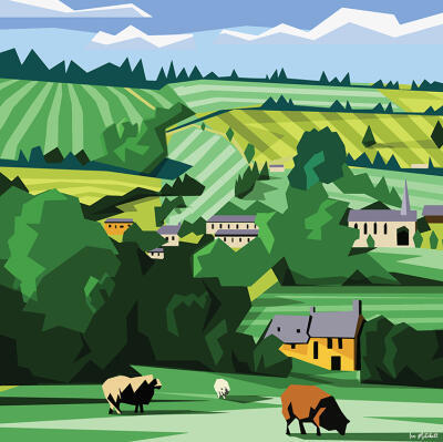 Cotswold Sheep