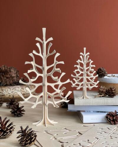 Lovi Spruce