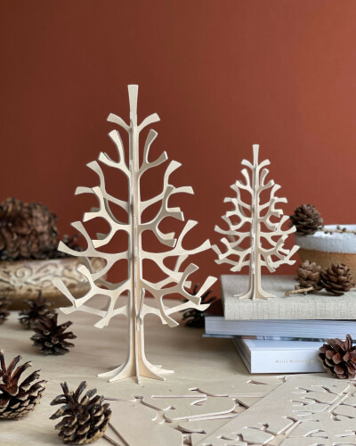 Lovi Spruce