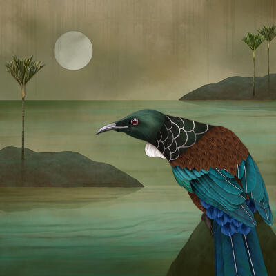 Tui On Rock