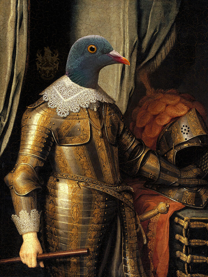 Lord Kereru
