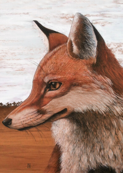 Stay Awake Fox