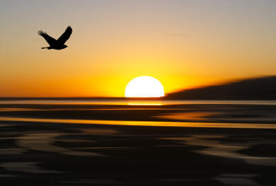 Sunrise Patrol