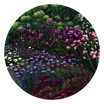 Blue And Purple Hues 1
