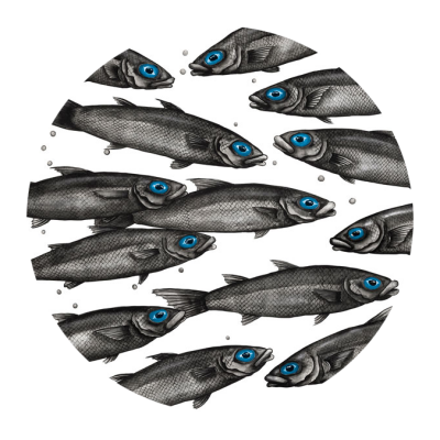 Holy Mackerel
