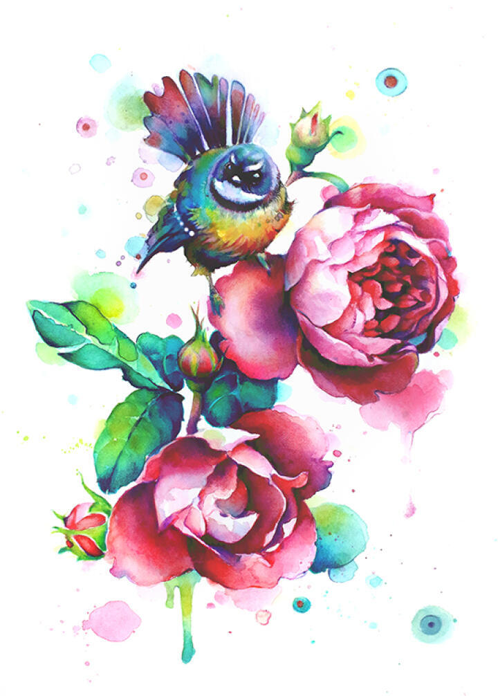 Fantail And Roses