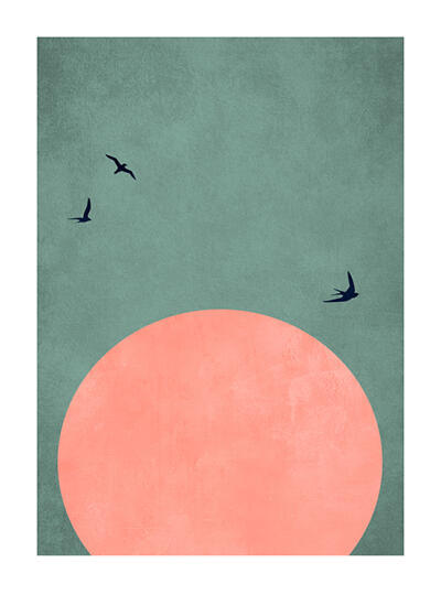 Sunset Flight