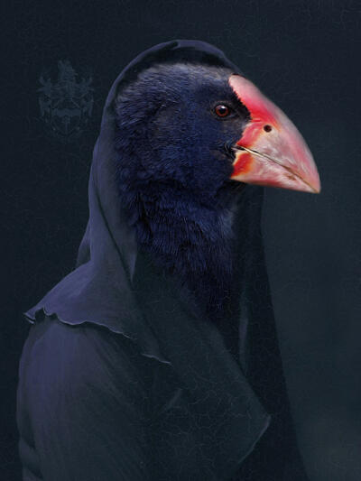 Takahe Maiden