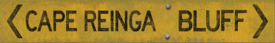 Cape Reinga To Bluff