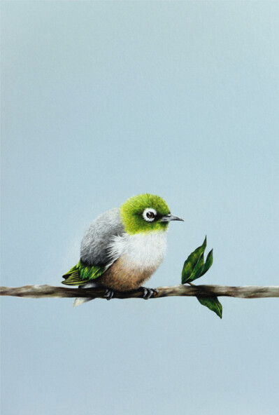 Waxeye