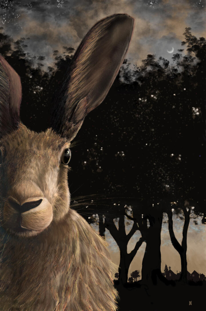Harvest Hare