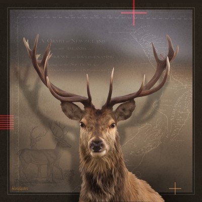 Deer