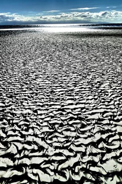 Intelligent Chaos